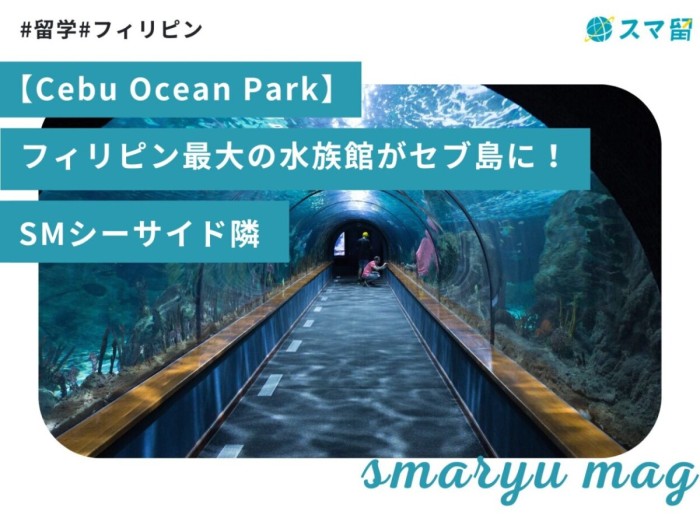 【Cebu Ocean Park】フィリピン最大の水族館がセブ島に！SMシーサイド隣