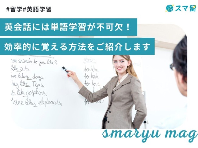 英会話には単語学習が不可欠！効率的に覚える方法をご紹介します
