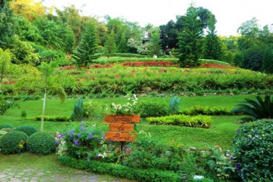 まさに秘密の花園【Terrazas de Flores】インスタ映え抜群の野外植物園