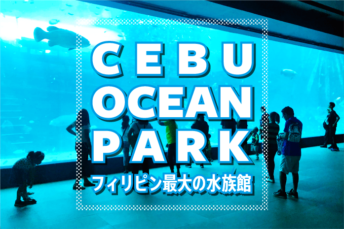 【Cebu Ocean Park】フィリピン最大の水族館がセブ島に！SMシーサイド隣