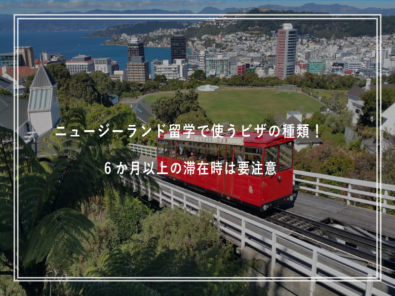 ニュージーランド留学で使うビザの種類！6か月以上の滞在時は要注意