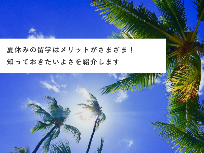 夏休みの留学はメリットがさまざま！知っておきたいよさを紹介します
